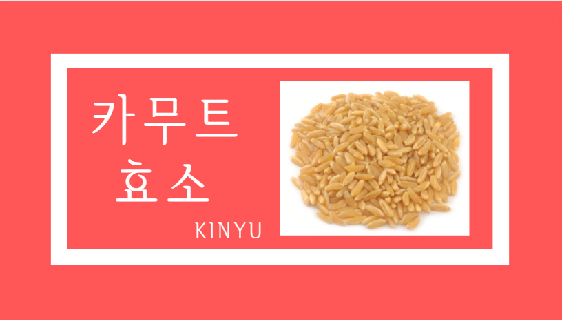 카무트 효소